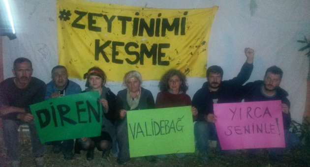 Danıştay kararını verdi: YIRCA’YA TERMİK KURULAMAZ!!!