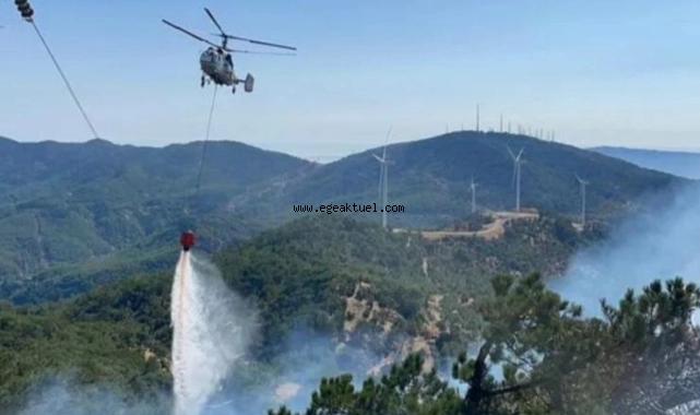 İzmir'de orman yangını