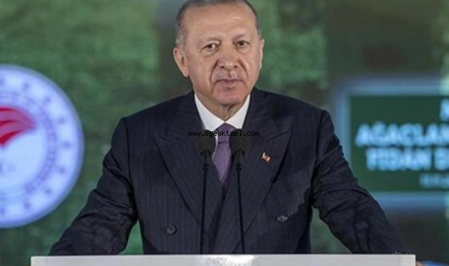 81 ilde 81 Millet Ormanı