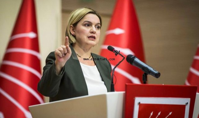 CHP'li Böke'ye Avrupa Konseyi'nde yeni görev
