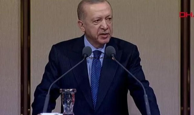 Erdoğan'dan Ukrayna açıklaması