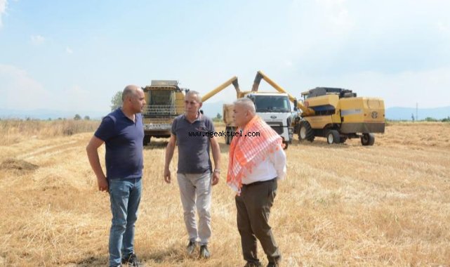Torbalı Belediyesi buğday hasadına başladı