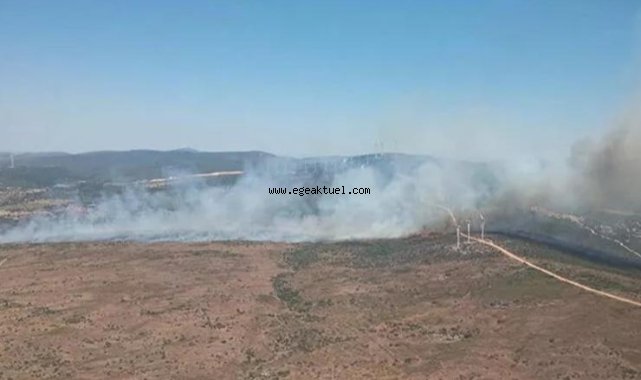 Çeşme'de makilik alanda yangın