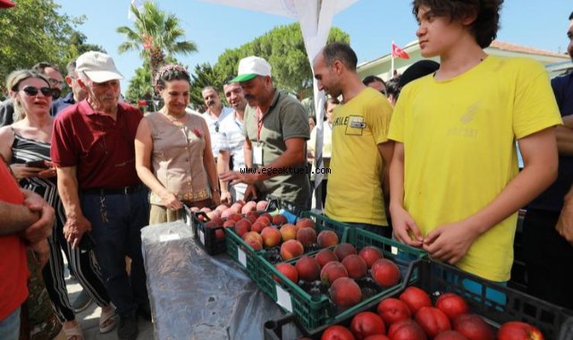 Efes Selçuk şeftali ile şenlendi