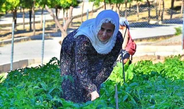 Kadifekaleli kadınlar üretime katılıyor