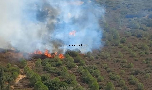 Foça'da makilik alanda yangın