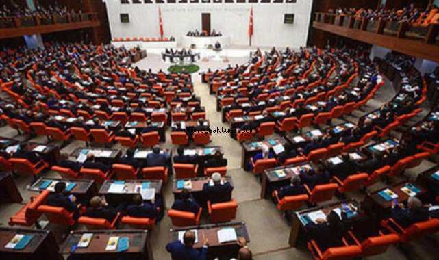 Parlamenter sistem çağrısı