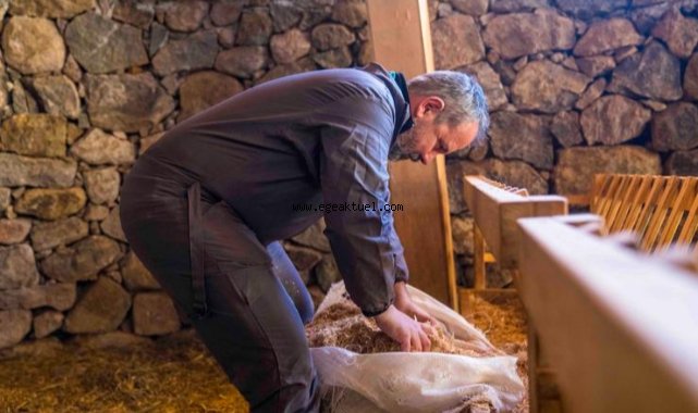 Kaçeli koyunlarının yeni evi Olivelo Yaşayan Parkı