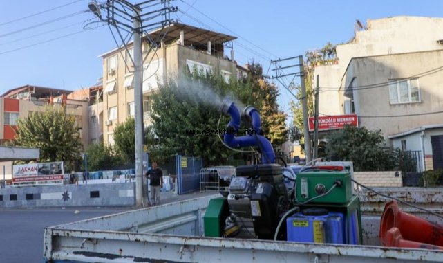 Buca Belediyesi, beyaz sineklere karşı ilaçlama başlattı