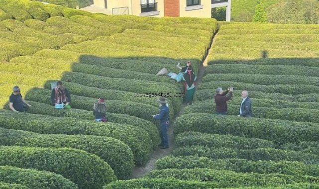 İzmirli Gazeteciler Karadeniz'in Kalbinde