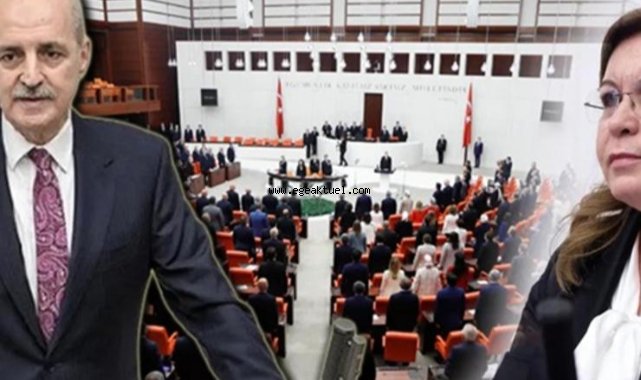 TBMM'de başkanvekilliği tartışması