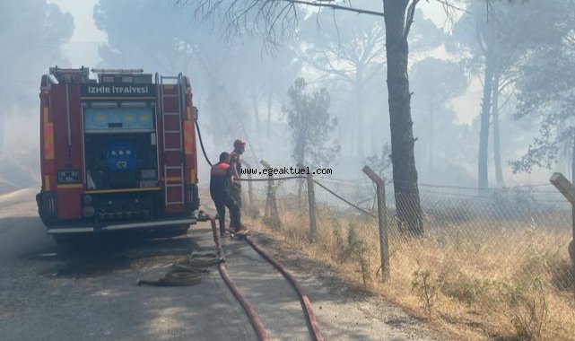 Bergama’da orman yangınına müdahale ediliyor