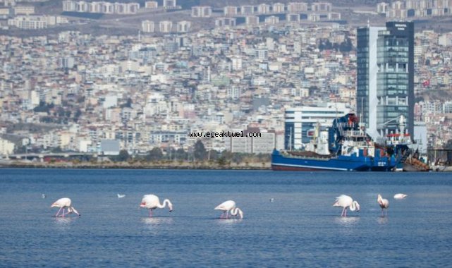 Çoklu iklim krizlerine karşı “İklim Uyum Eylem Planı”