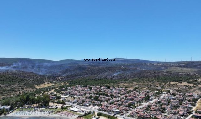 İzmir’de bir ayda 26 bin 260 hektar alan yandı