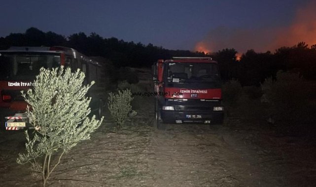 Urla’da yangın kontrol altına alındı