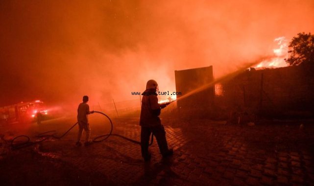 Yangınları söndürmek için canlarını siper ettiler