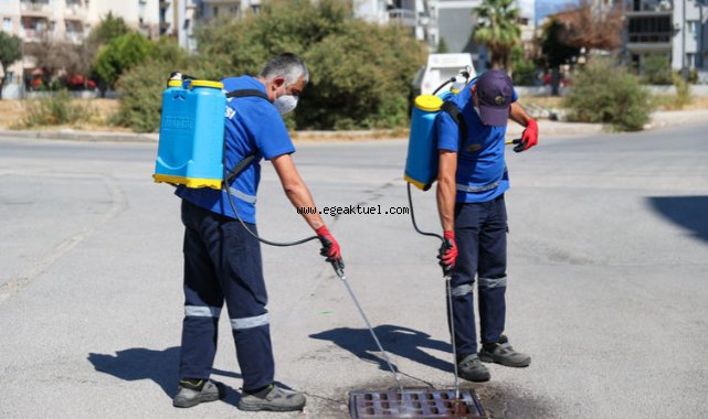 Buca’da ilaçlama atağı