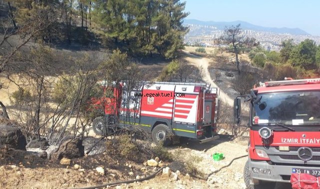 Buca ve Aliağa'da çıkan yangınlar kontrol altına alındı