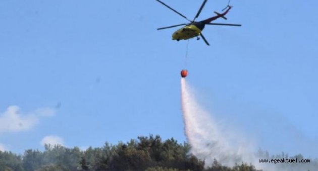 Bornova'da ormanlık alanda iki ayrı bölgede yangın