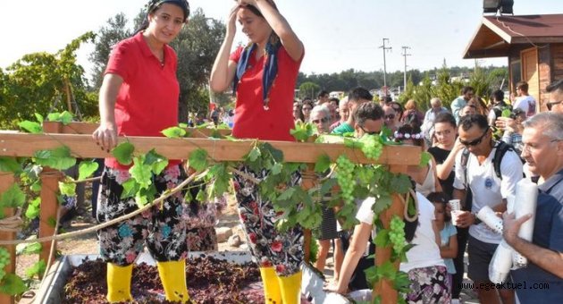 Buca Bağ Bozumu Şenliği'nde hasat coşkusu