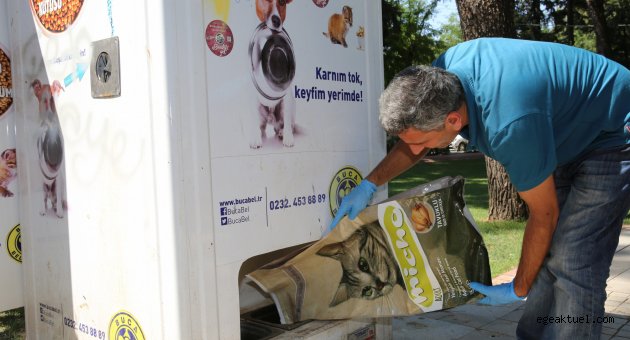 Buca'da sokak hayvanları için yoğun mesai
