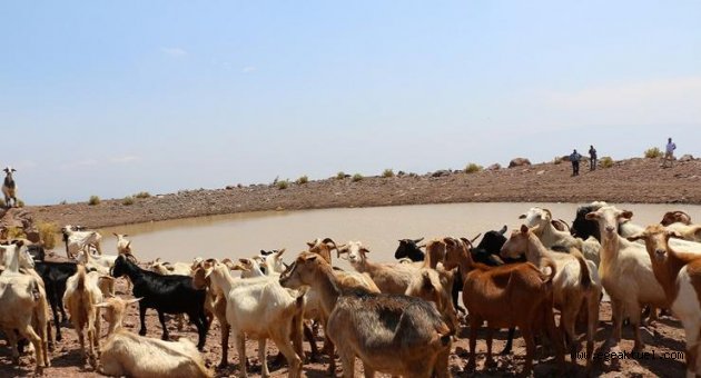 Büyükşehir'den "yaşam vahaları"