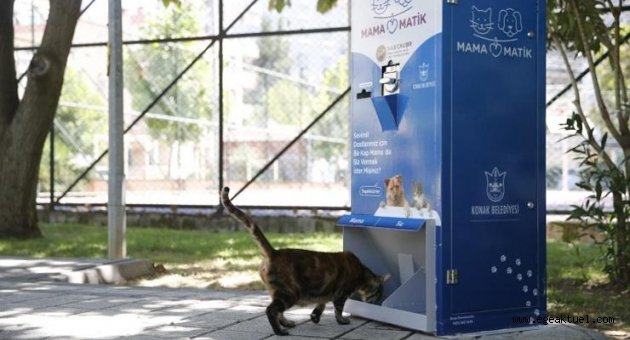 Can Dostlara MamaMatik hizmeti