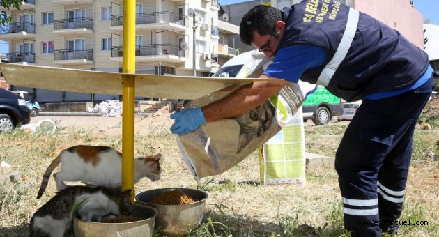Can dostları için “sıcak” önlemi