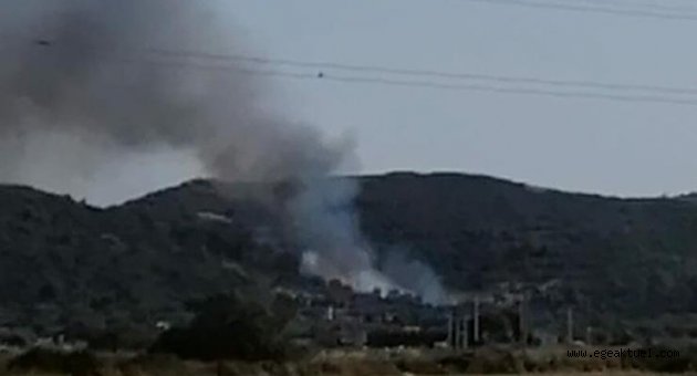 Çeşme'de ormanlık ve makilik alanda yangın