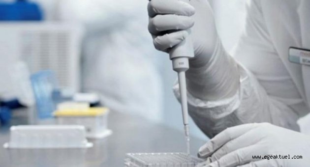 Corona virüse karşı yeni ilaç