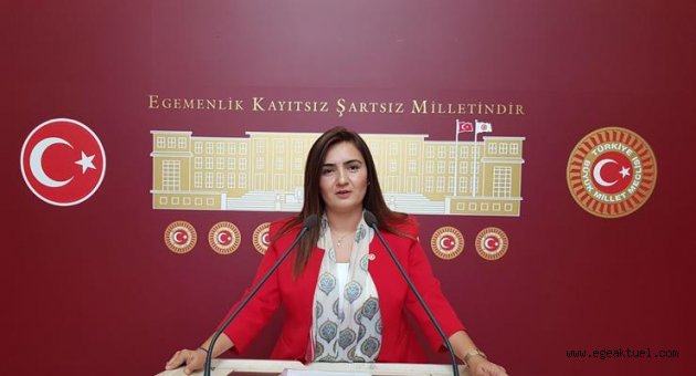 ''Demokrasi göz ardı edilmemeli...'