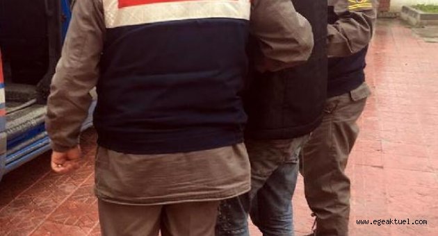 Dikili'deki DEAŞ operasyonu