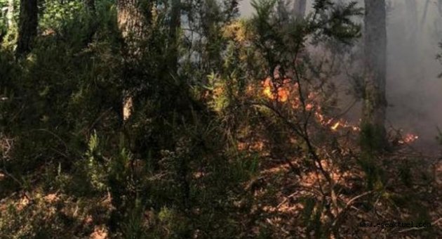 Ege Bölgesi ve Antalya'da yangın alarmı! Turuncu kategoride