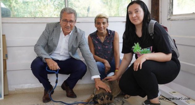 Ege’de can dostlar için “Tedavi İstasyonu” kuruldu