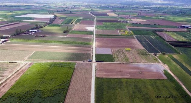 Ege'de 3 ilde toplulaştırma seferberliği tüm hızıyla sürüyor