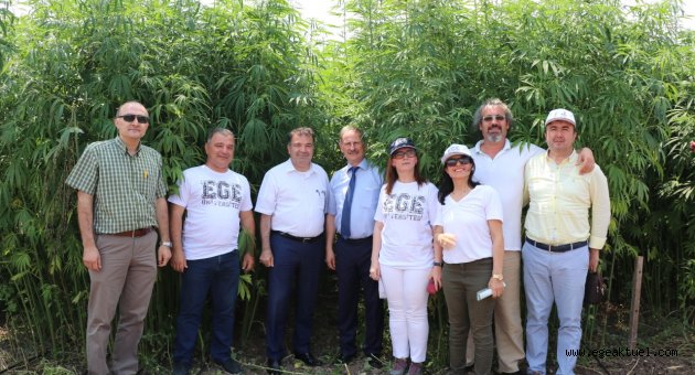 Endüstriyel Kenevirin Ege Bölgesi Tarımına Yeniden Kazandırılması” projesi tanıtım “toplantısı yapıldı