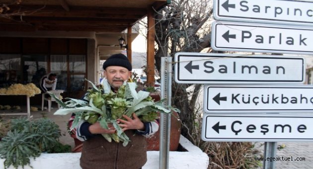 Enginarda erkenci ürünlerin satışına başlandı.   