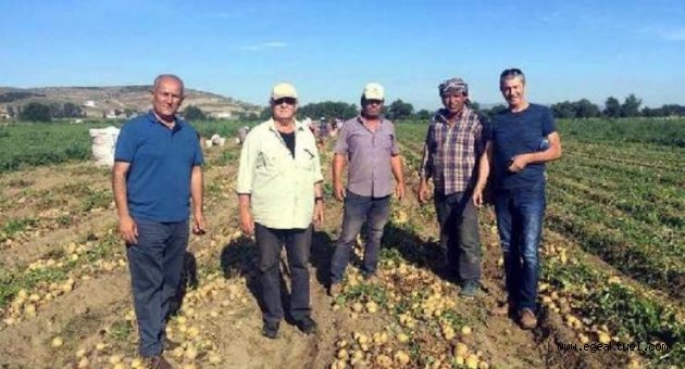 Gerenköy patatesle uluslararası arenaya çıktı