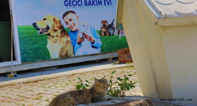 Güzelbahçe Belediyesi'nden 'Can Dost WhatsApp hattı'
