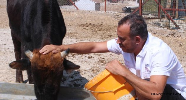 Haluk Levent dana Ferdinand’ı ziyaret etti