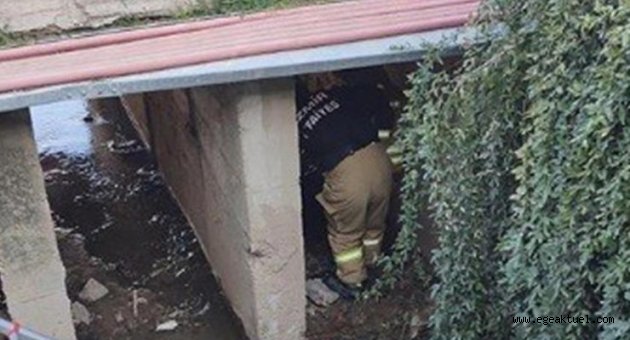 İzmir’de dereye düşen yaşlı adamı itfaiye kurtardı