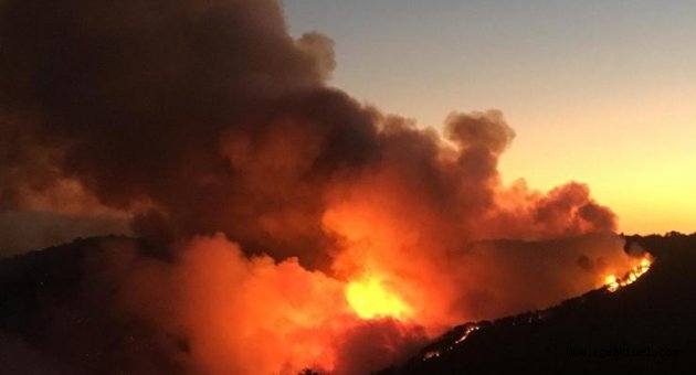 İzmir Karabağlar yangınında, en büyük şüpheli piknikçiler