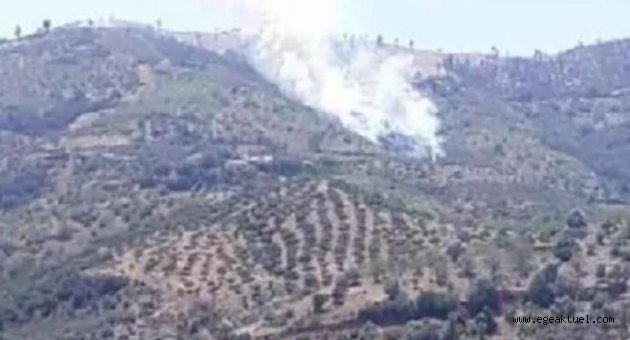 İzmir Kiraz'da orman yangını çıktı