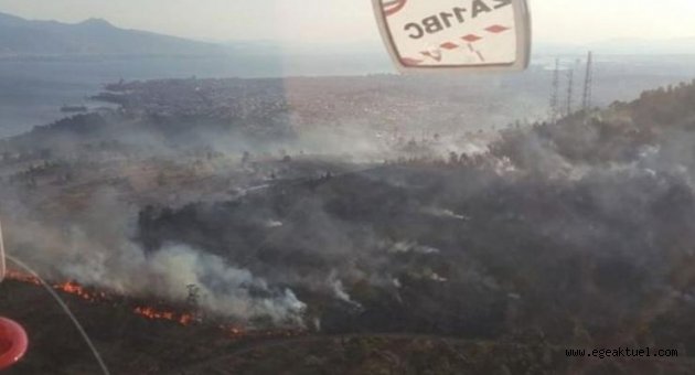 İzmir'de ağaçlandırma alanında yangın