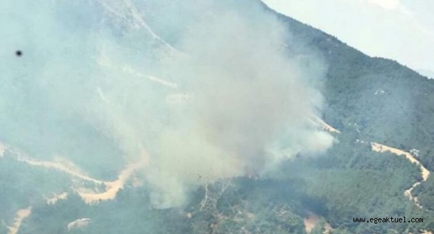İzmir'de bir orman yangını daha!