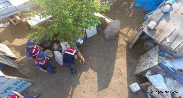 İzmir'de dev zehir operasyonu: 22 kişi gözaltında
