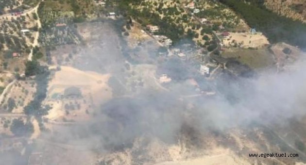 İzmir'de orman yangını
