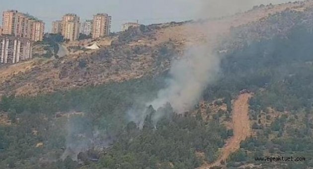 İzmir'de ormanı yaktı... Motosiklet sürücüsü aranıyor
