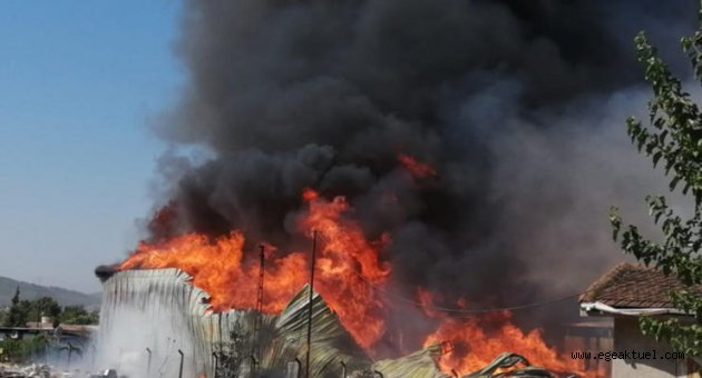 İzmir'de palet fabrikasında büyük yangın