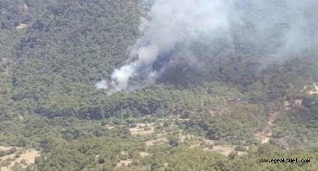 İzmir'de tabiat parkı yakınında orman yangını